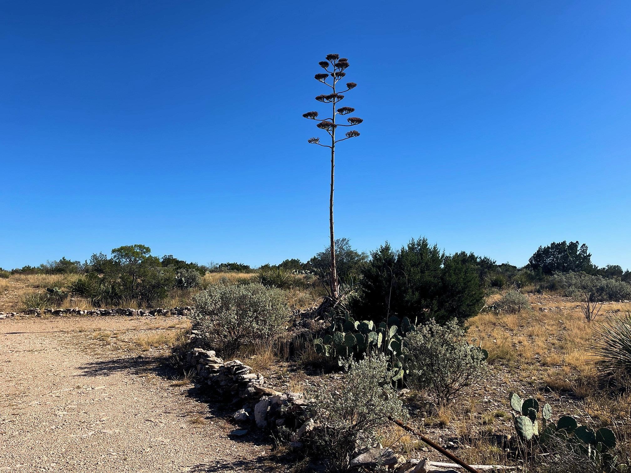 Image 4 of 41 For 734 Harmony