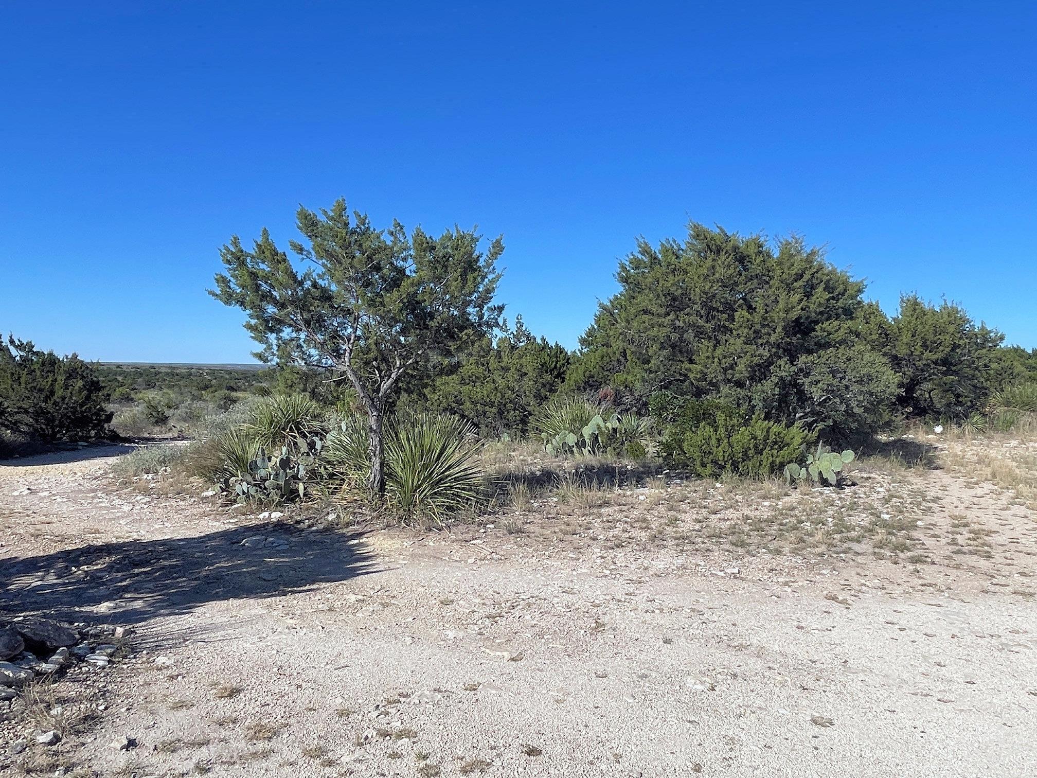 Image 7 of 41 For 734 Harmony