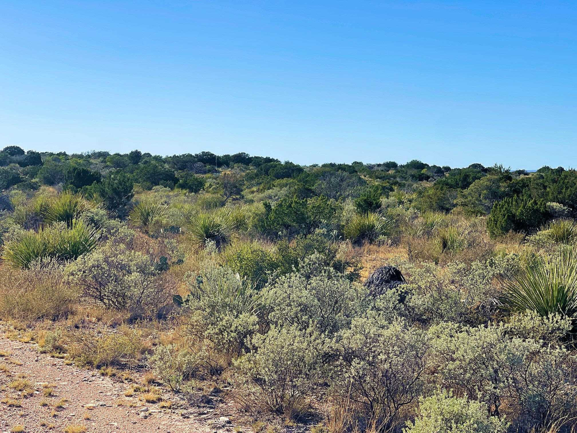 Image 9 of 41 For 734 Harmony