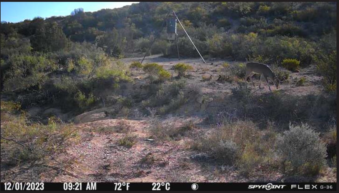 Image 14 of 34 For 000 Hargrove Winters Rd