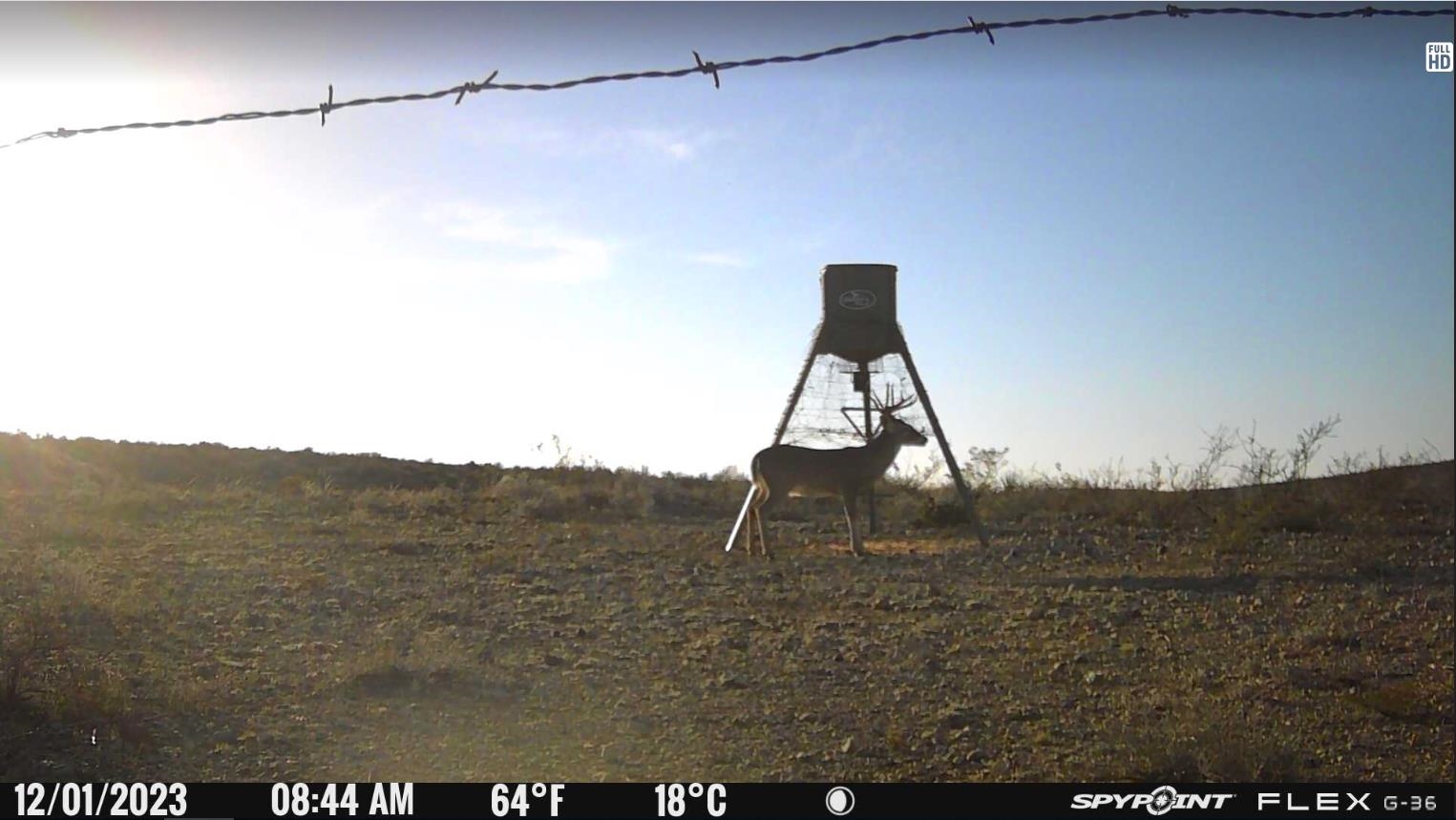 Image 15 of 34 For 000 Hargrove Winters Rd