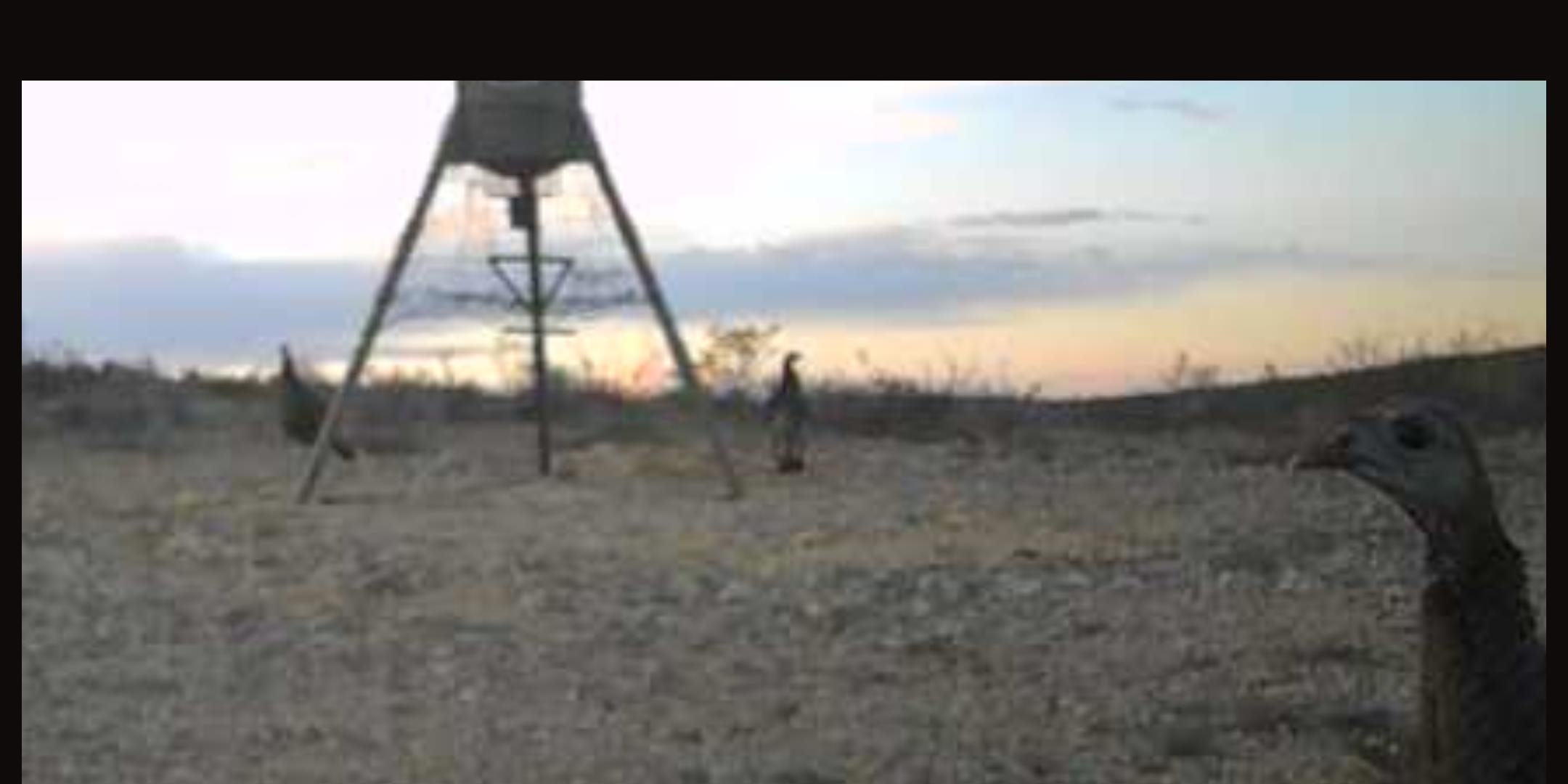 Image 16 of 34 For 000 Hargrove Winters Rd