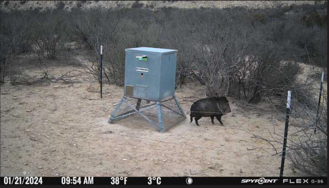Image 18 of 34 For 000 Hargrove Winters Rd