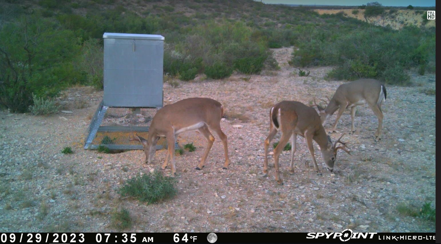 Image 22 of 34 For 000 Hargrove Winters Rd