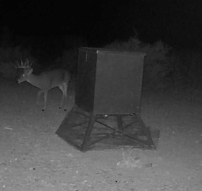 Image 26 of 34 For 000 Hargrove Winters Rd