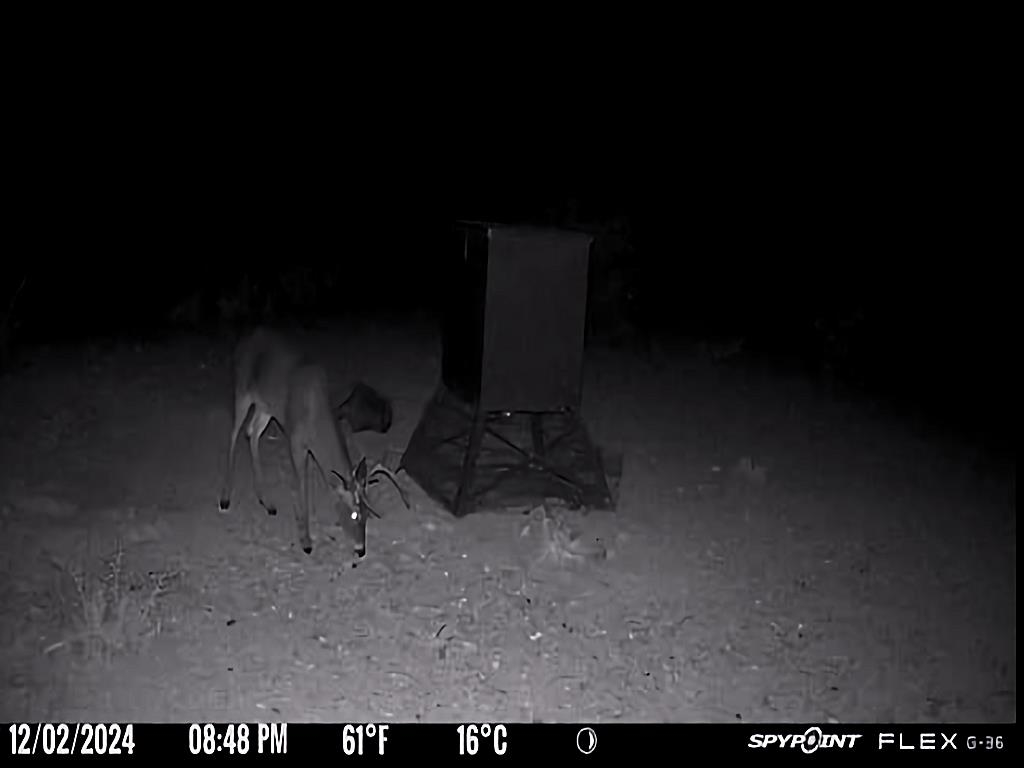 Image 27 of 34 For 000 Hargrove Winters Rd