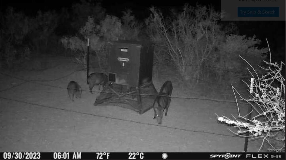 Image 28 of 34 For 000 Hargrove Winters Rd