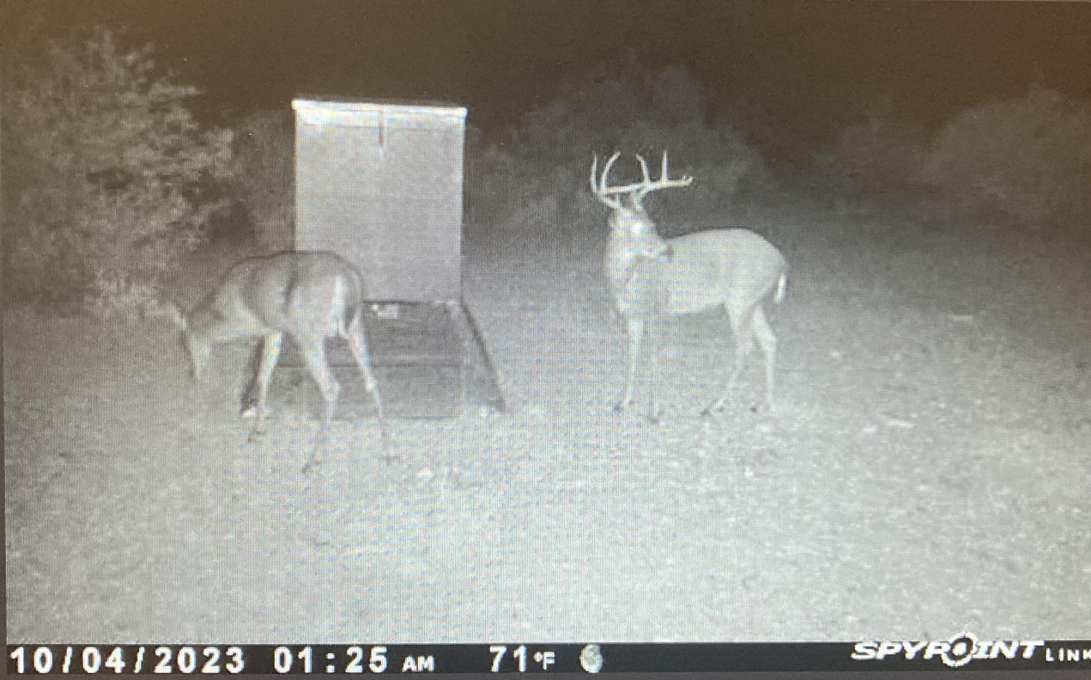 Image 31 of 34 For 000 Hargrove Winters Rd
