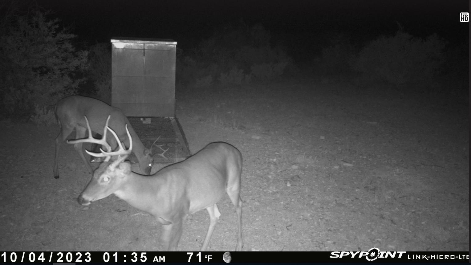 Image 32 of 34 For 000 Hargrove Winters Rd