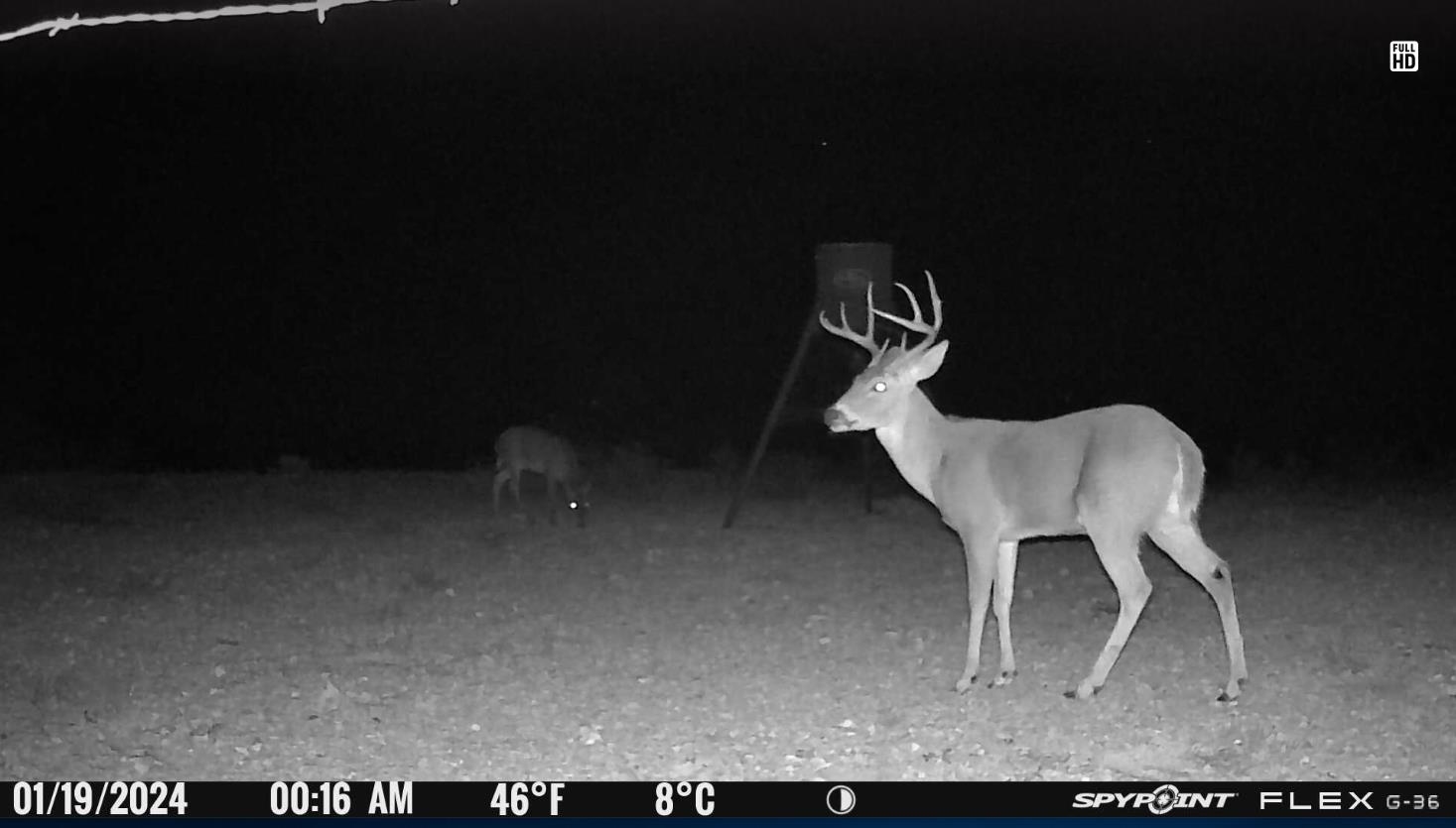 Image 33 of 34 For 000 Hargrove Winters Rd