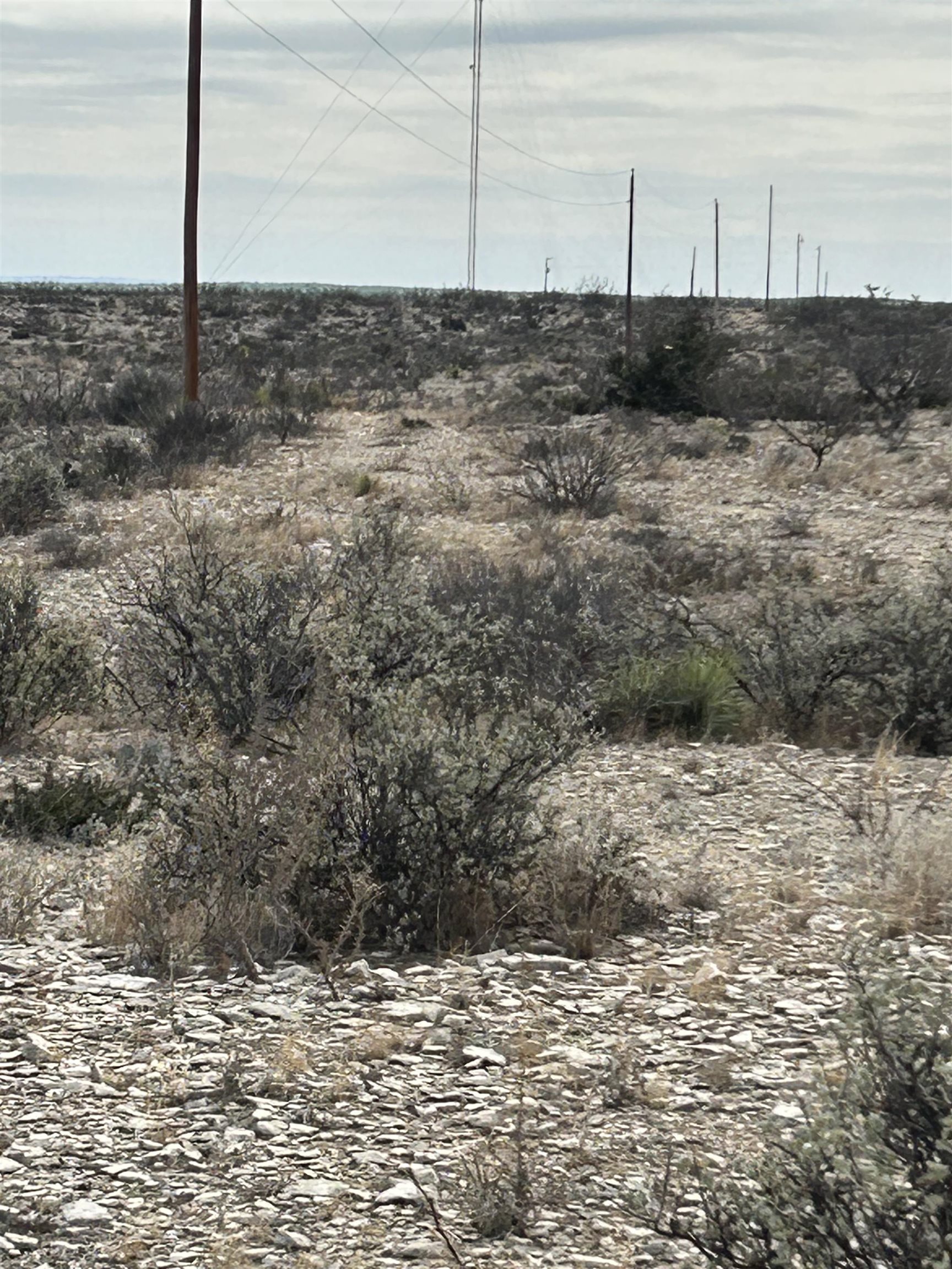 Image 15 of 26 For Address Not Provided