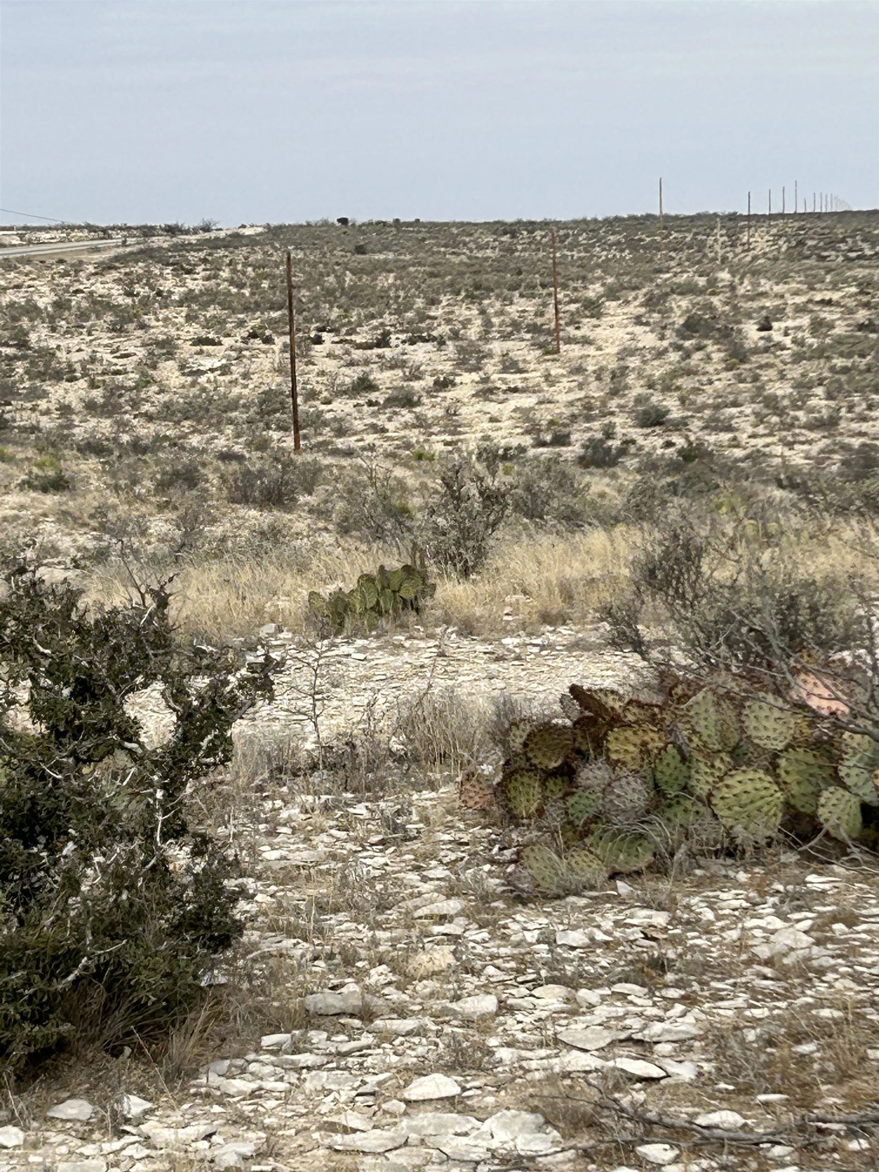 Image 16 of 26 For Address Not Provided