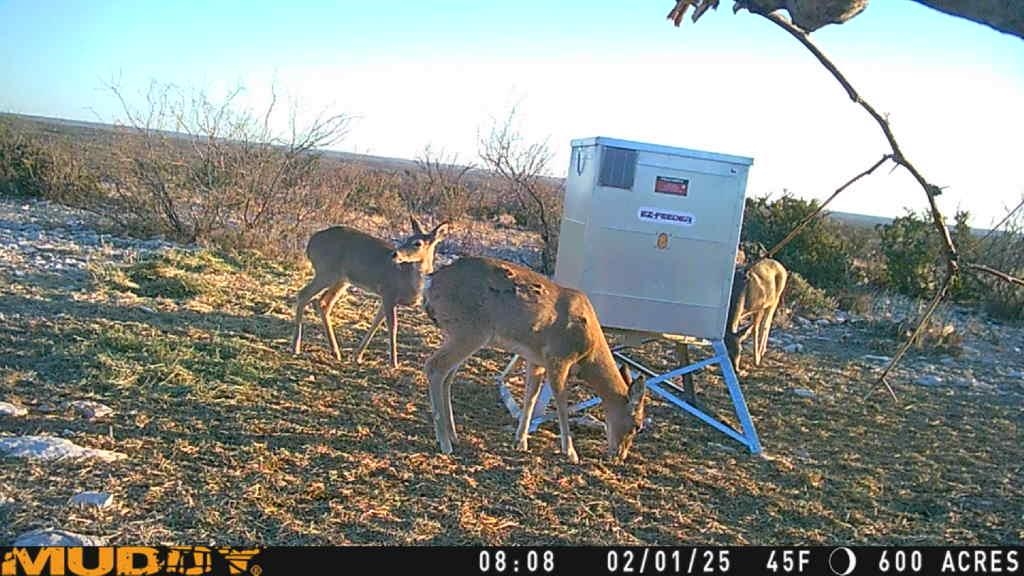 Image 2 of 23 For Tr Ranch Tract 2 Ne