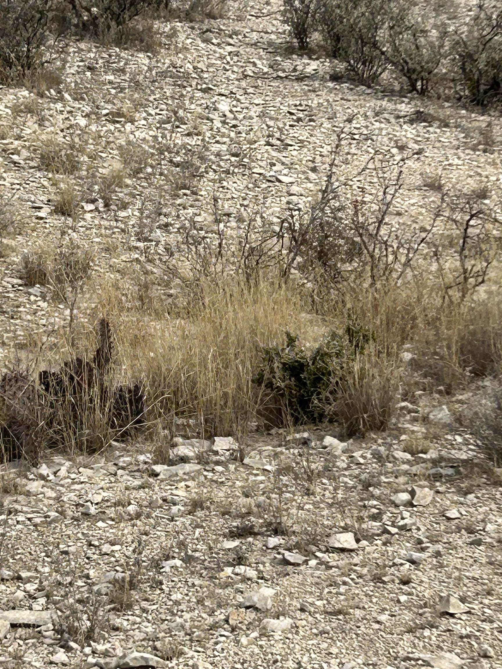 Image 20 of 23 For Tr Ranch Tract 2 Ne