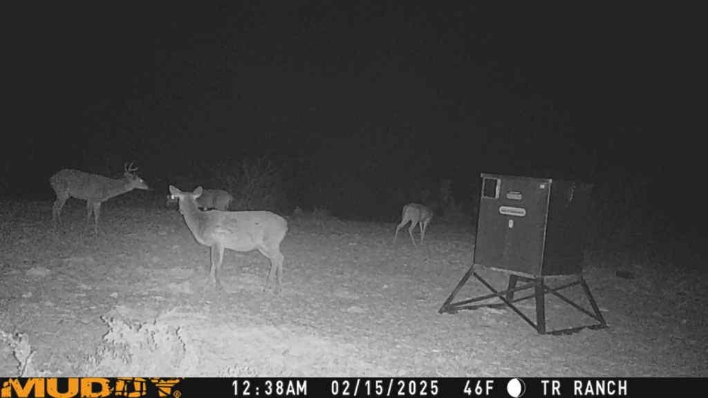 Image 22 of 23 For Tr Ranch Tract 2 Ne