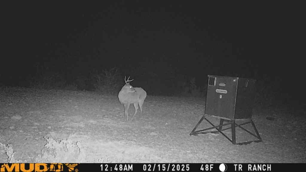 Image 23 of 23 For Tr Ranch Tract 2 Ne