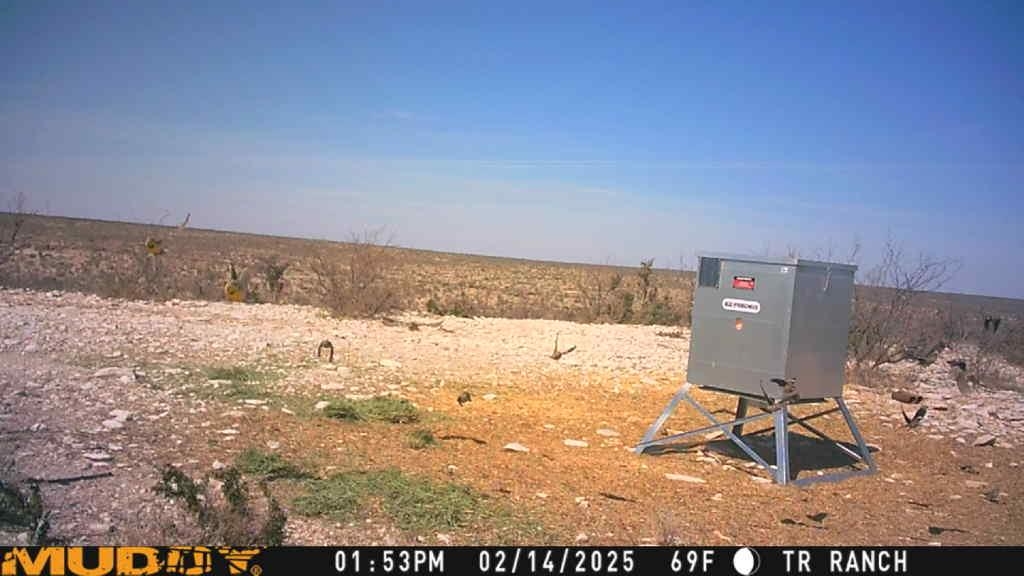 Image 4 of 23 For Tr Ranch Tract 2 Ne