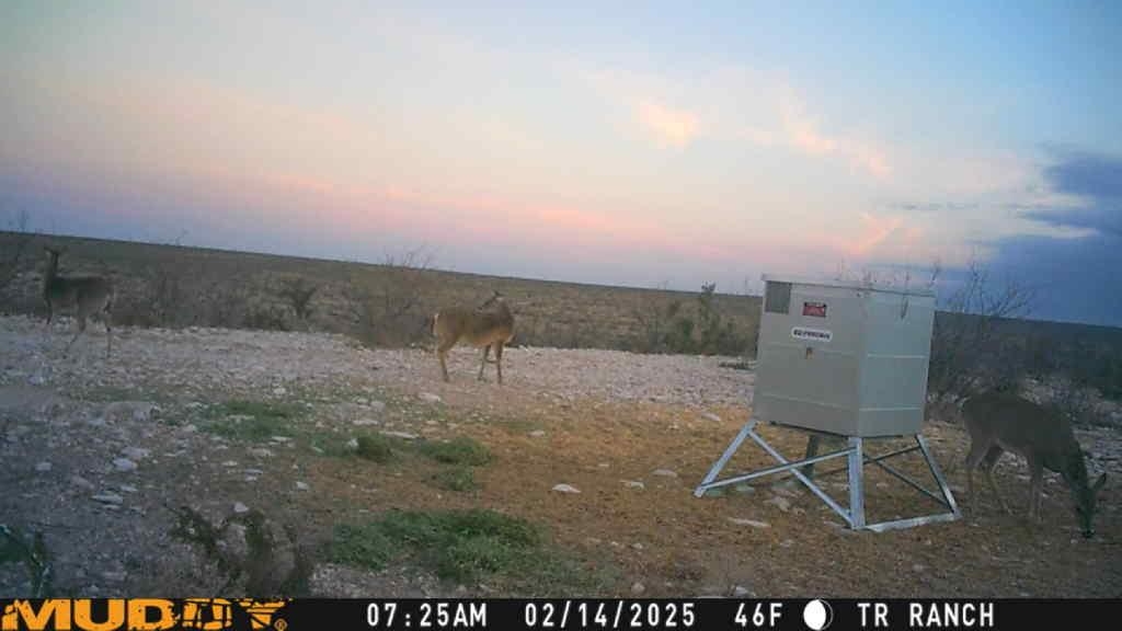 Image 6 of 23 For Tr Ranch Tract 2 Ne