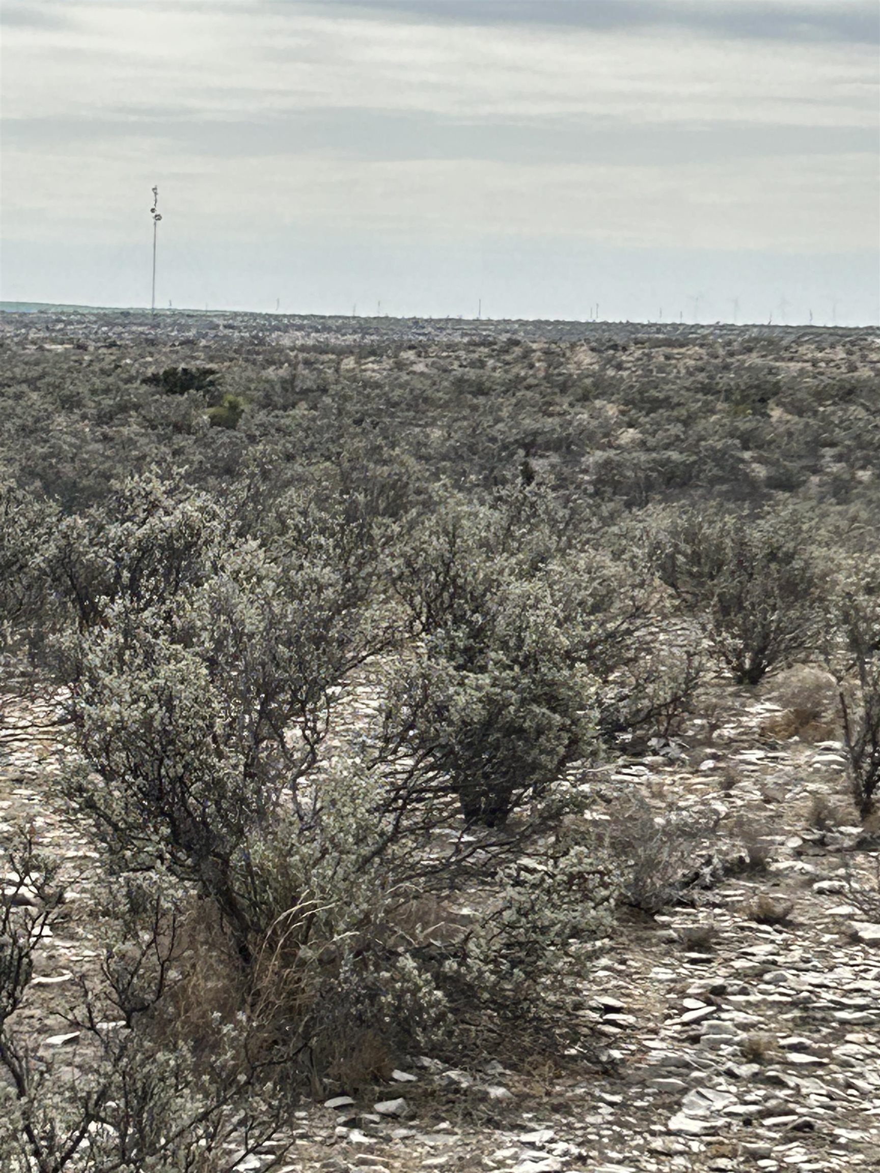 Image 7 of 23 For Tr Ranch Tract 2 Ne