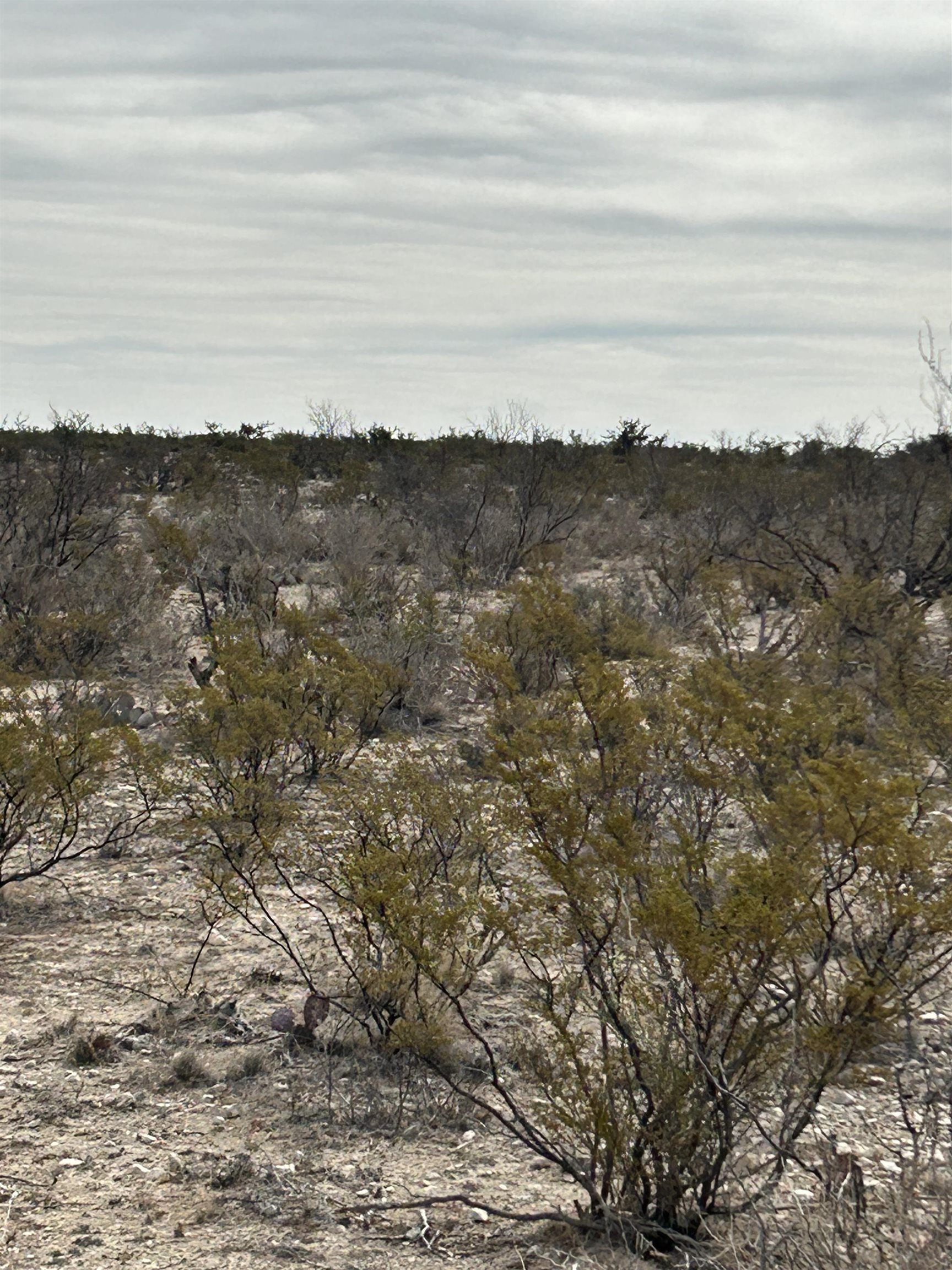 Image 13 of 23 For Tr Ranch Tract 3 S