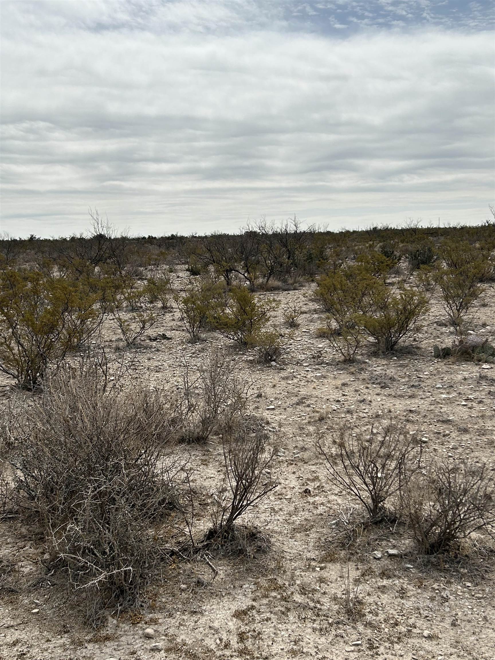 Image 16 of 23 For Tr Ranch Tract 3 S