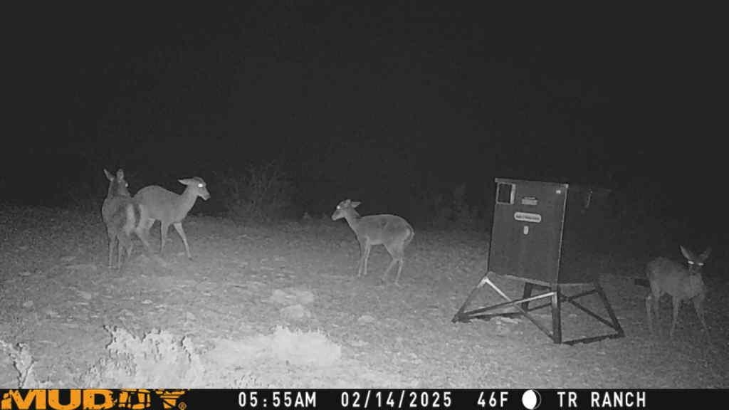 Image 6 of 23 For Tr Ranch Tract 3 S