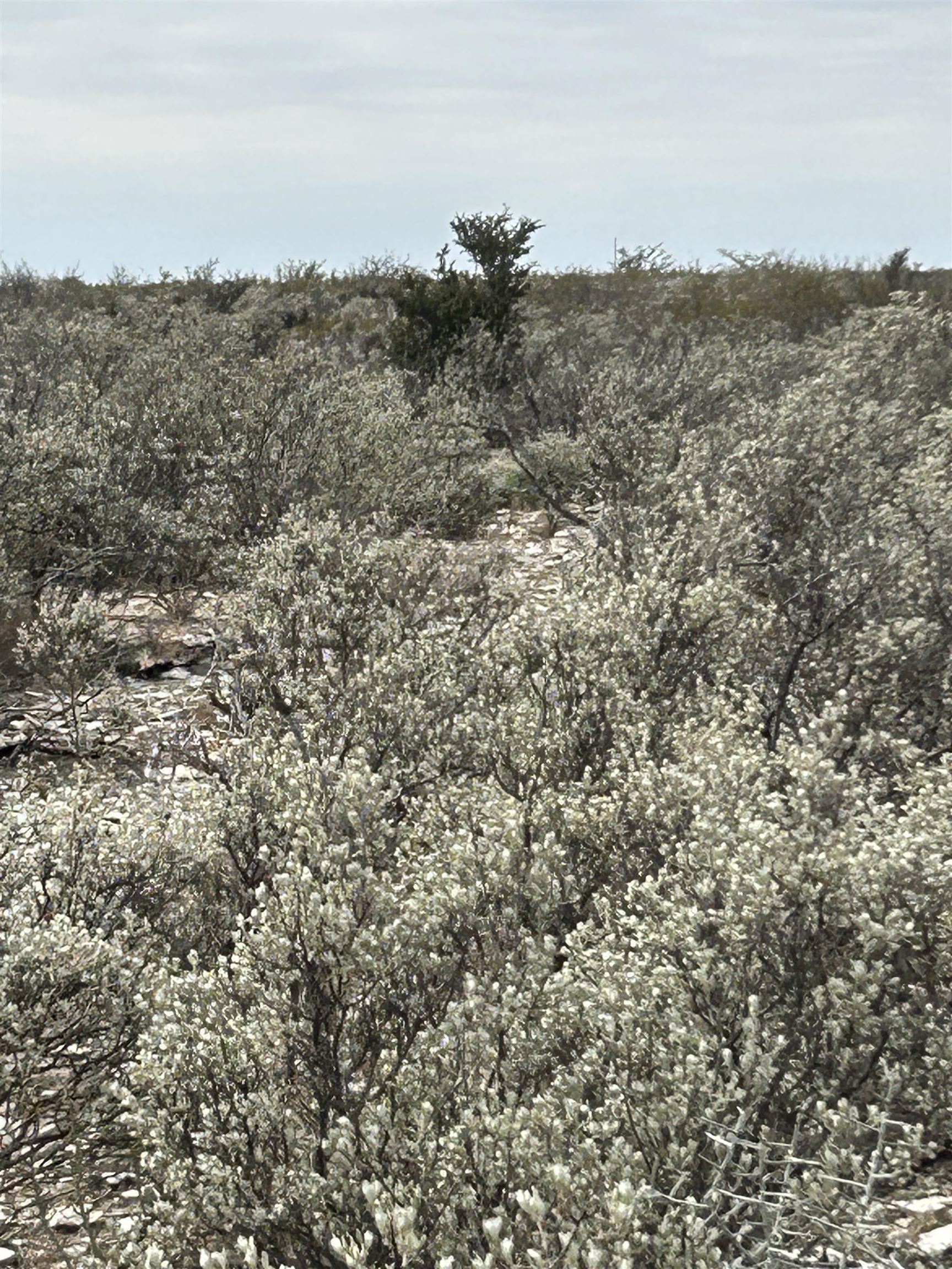 Image 9 of 23 For Tr Ranch Tract 3 S