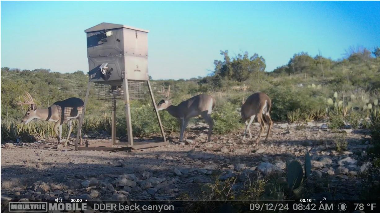 Image 19 of 41 For 000 Dusty Rose West Lot 2 W