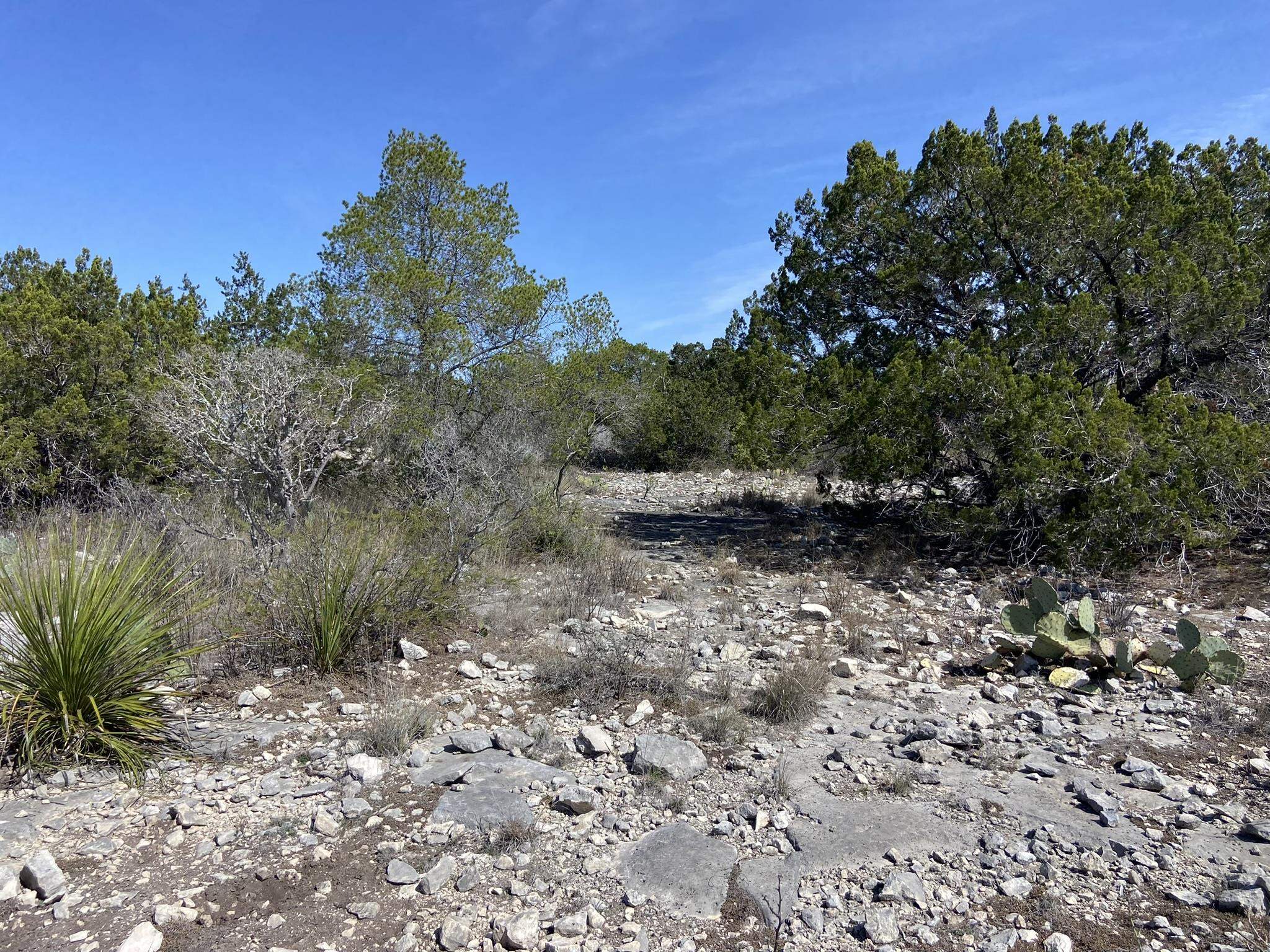 Image 8 of 41 For 000 Dusty Rose West Lot 2 W