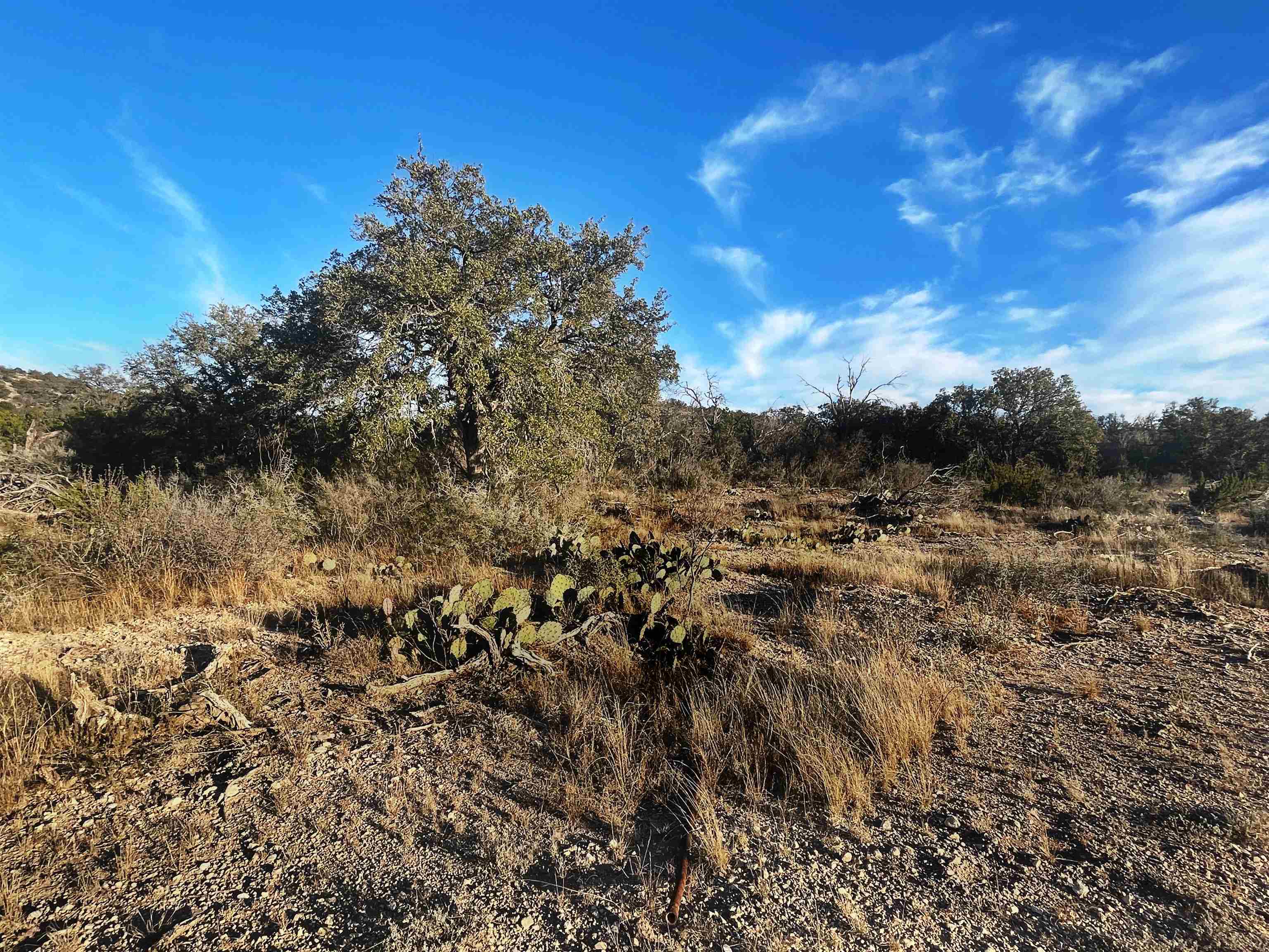 Image 15 of 46 For 000 Oak Bend Ranch