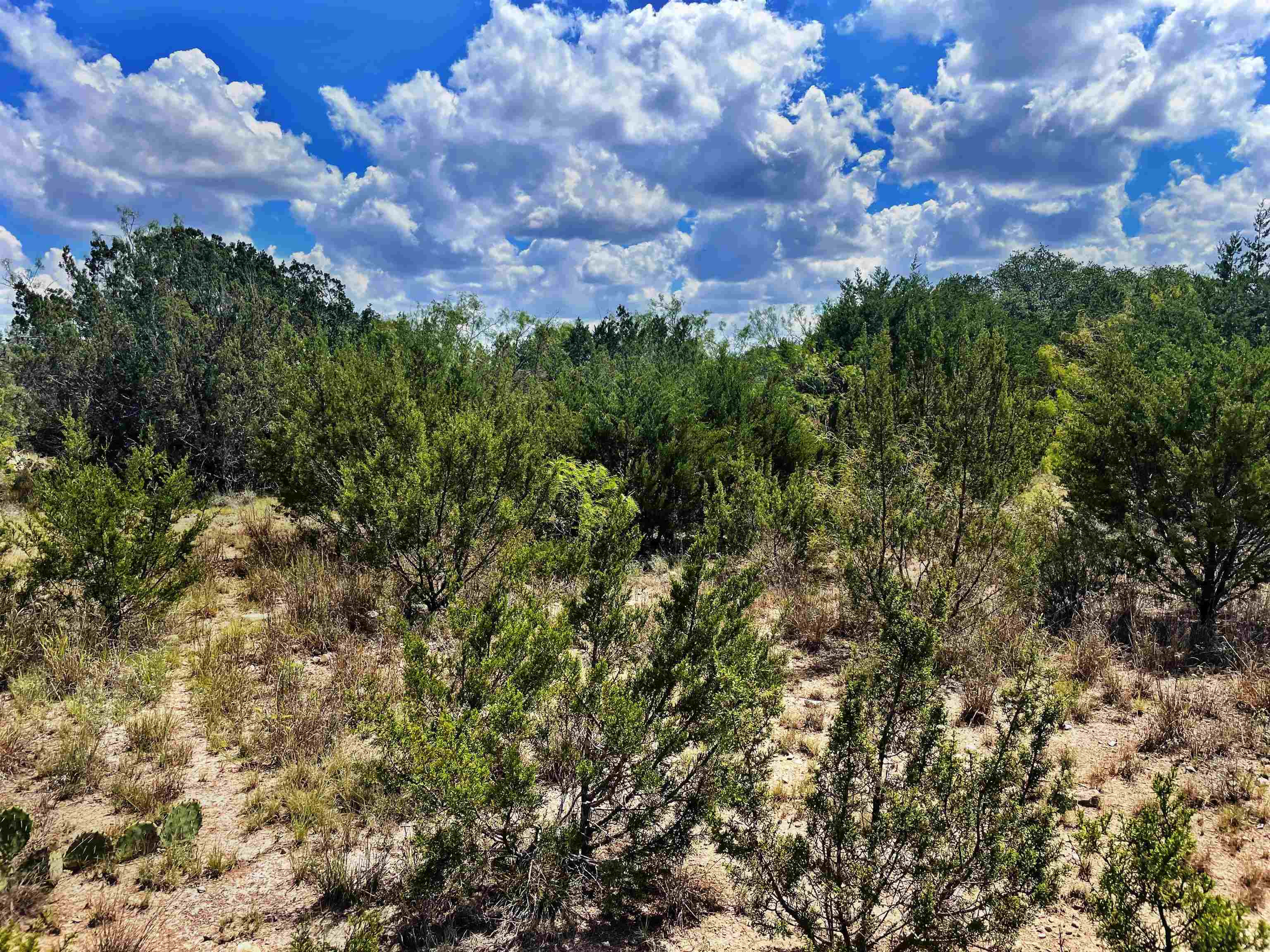 Image 26 of 46 For 000 Oak Bend Ranch