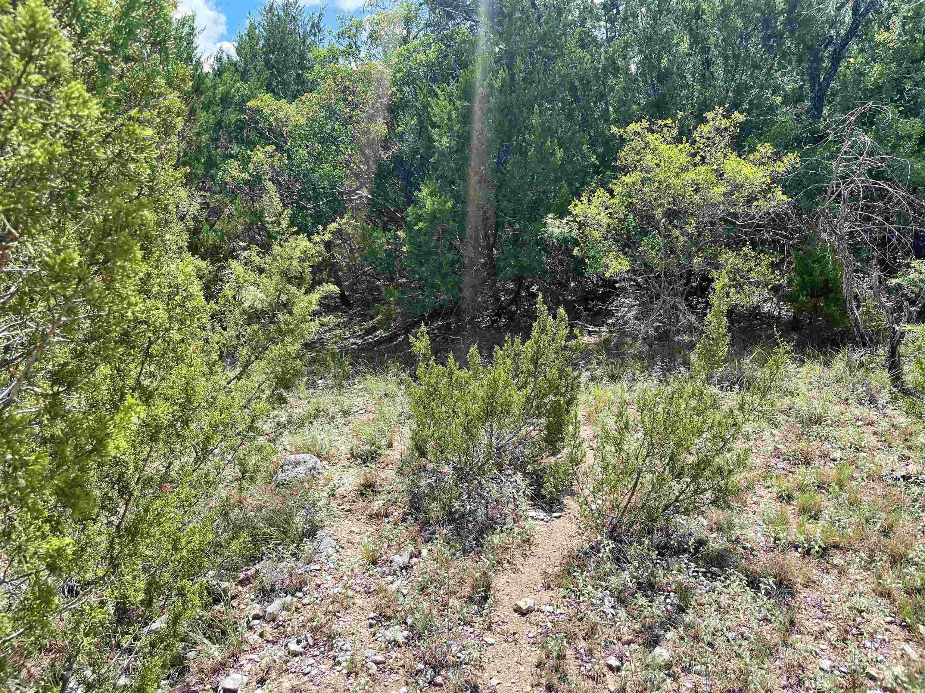 Image 29 of 46 For 000 Oak Bend Ranch