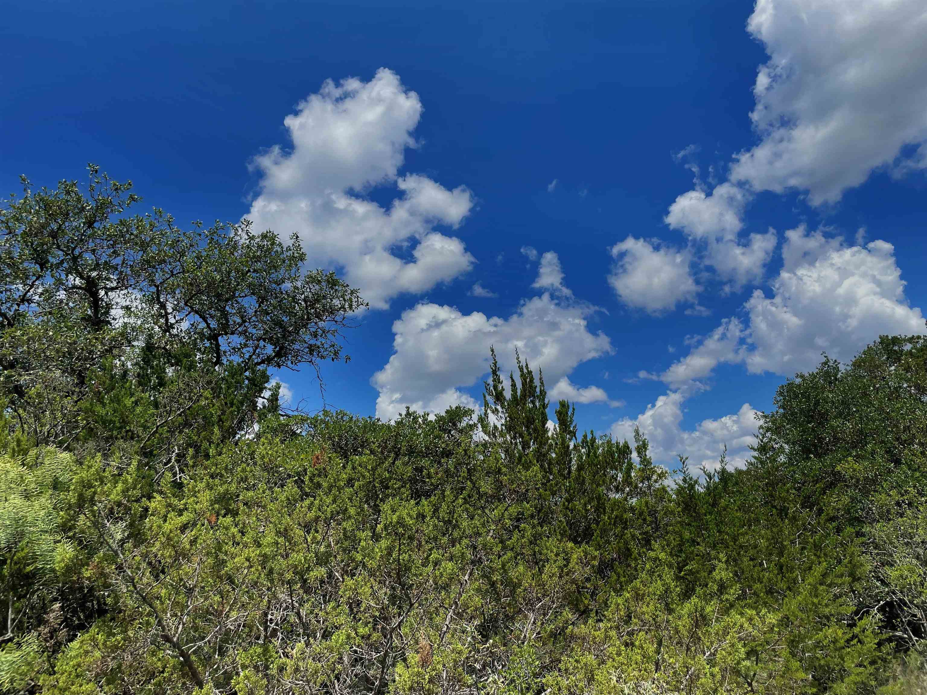 Image 30 of 46 For 000 Oak Bend Ranch