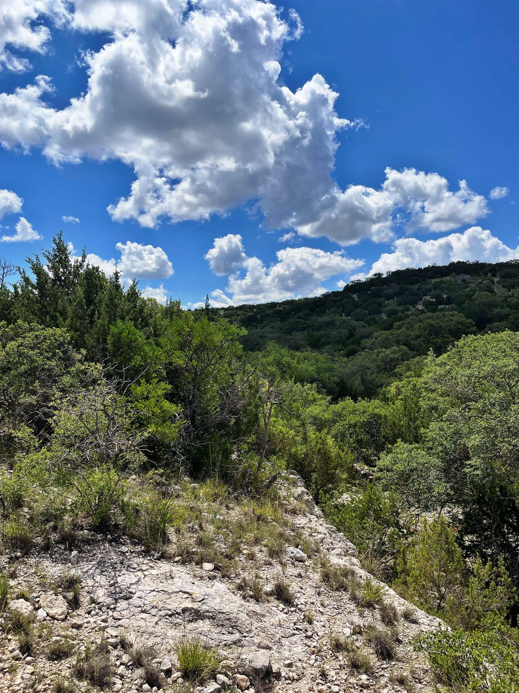 Image 32 of 46 For 000 Oak Bend Ranch