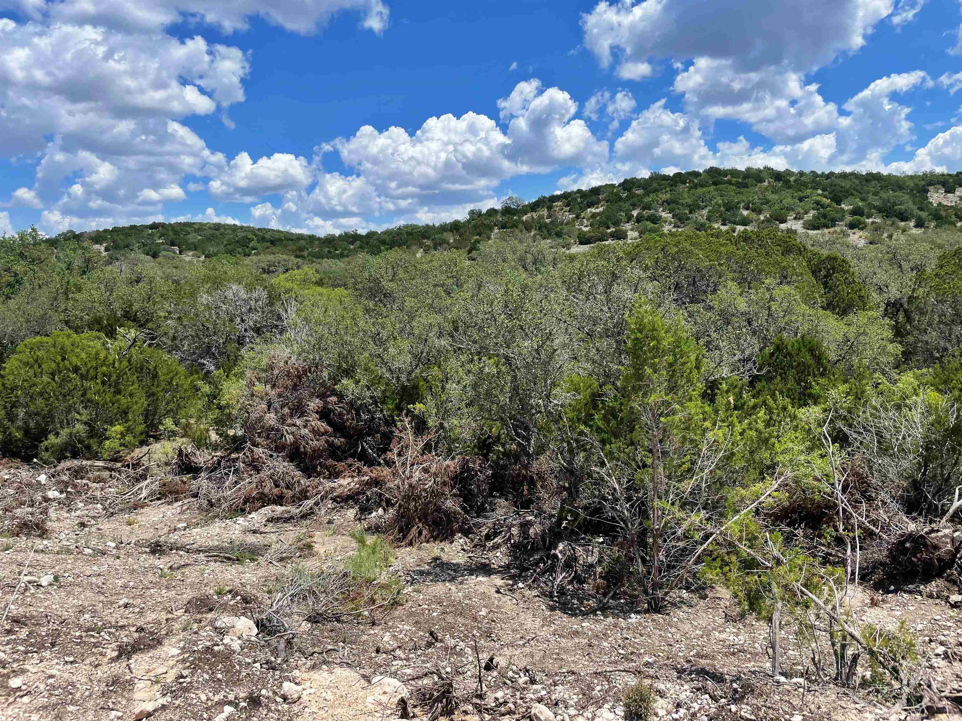 Image 33 of 46 For 000 Oak Bend Ranch