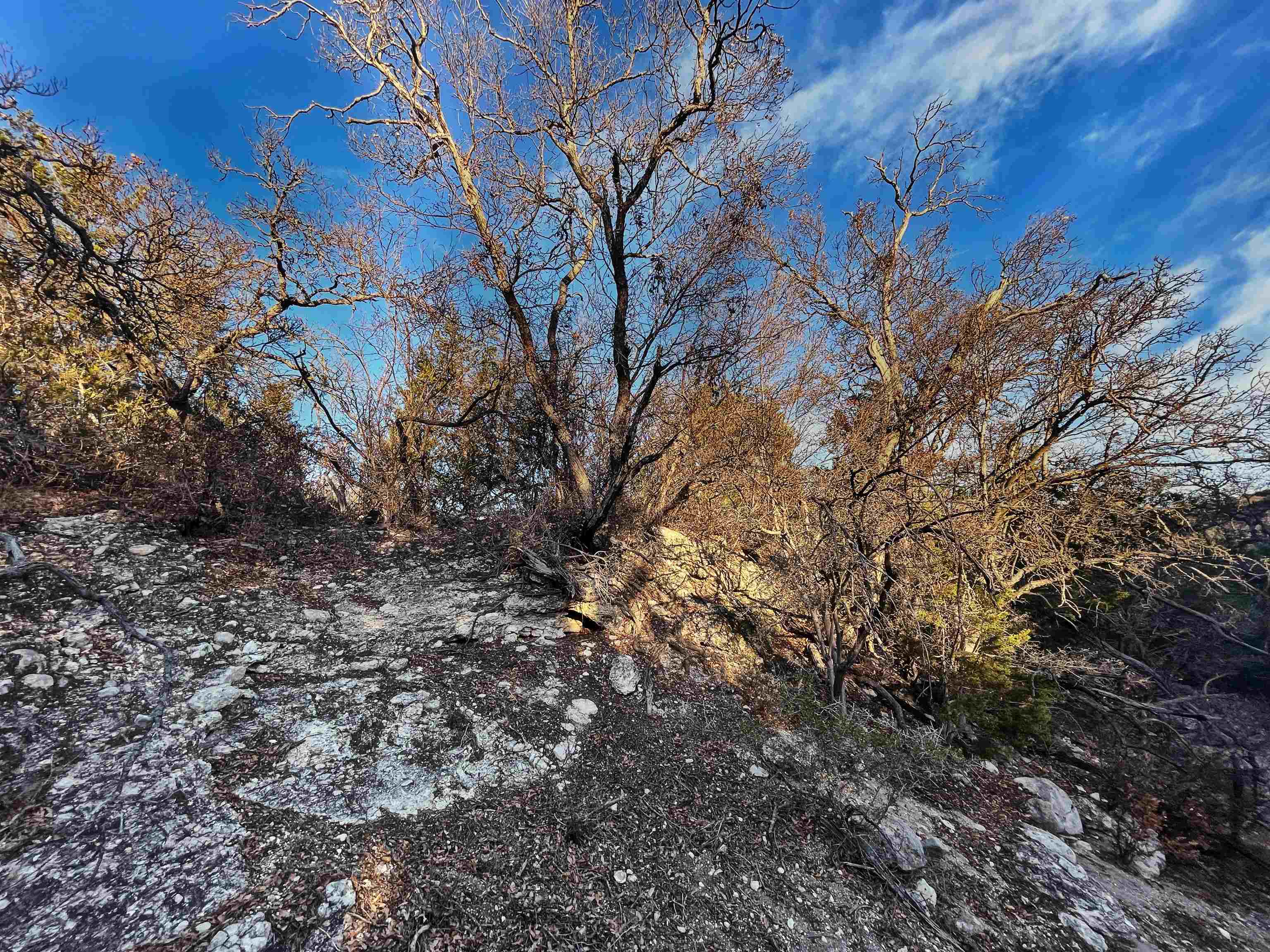 Image 37 of 46 For 000 Oak Bend Ranch