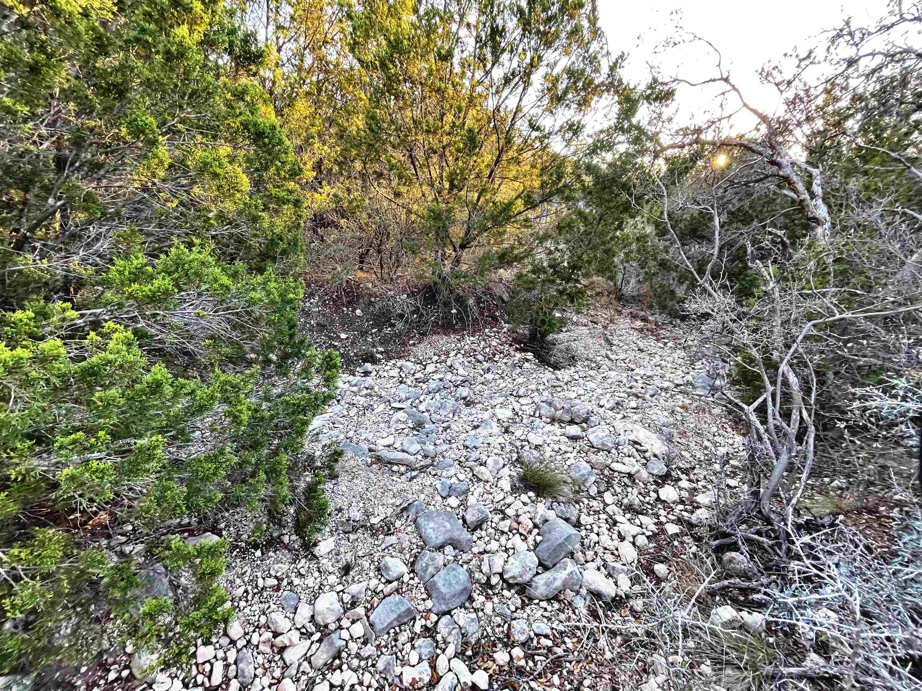 Image 38 of 46 For 000 Oak Bend Ranch