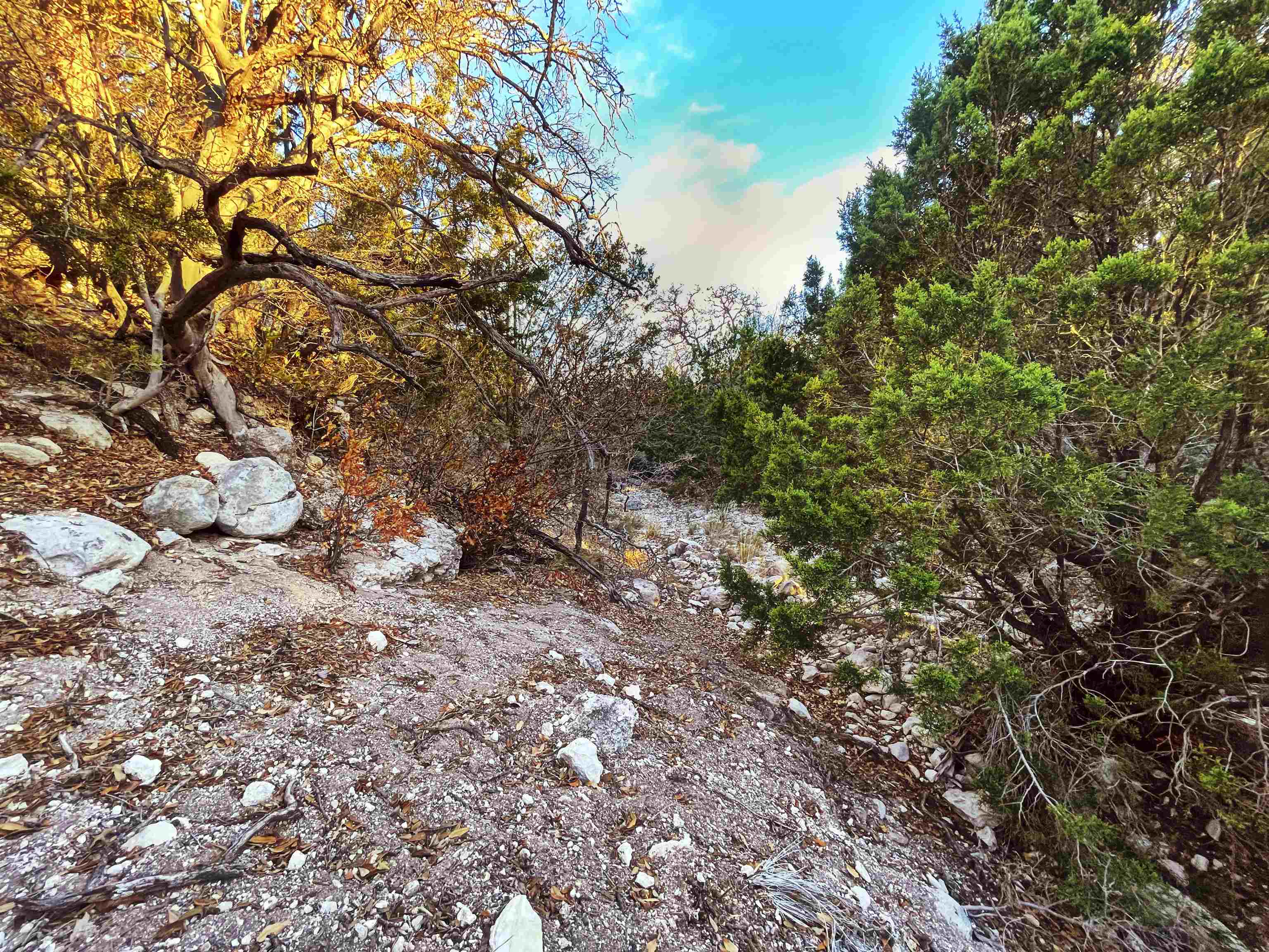 Image 39 of 46 For 000 Oak Bend Ranch