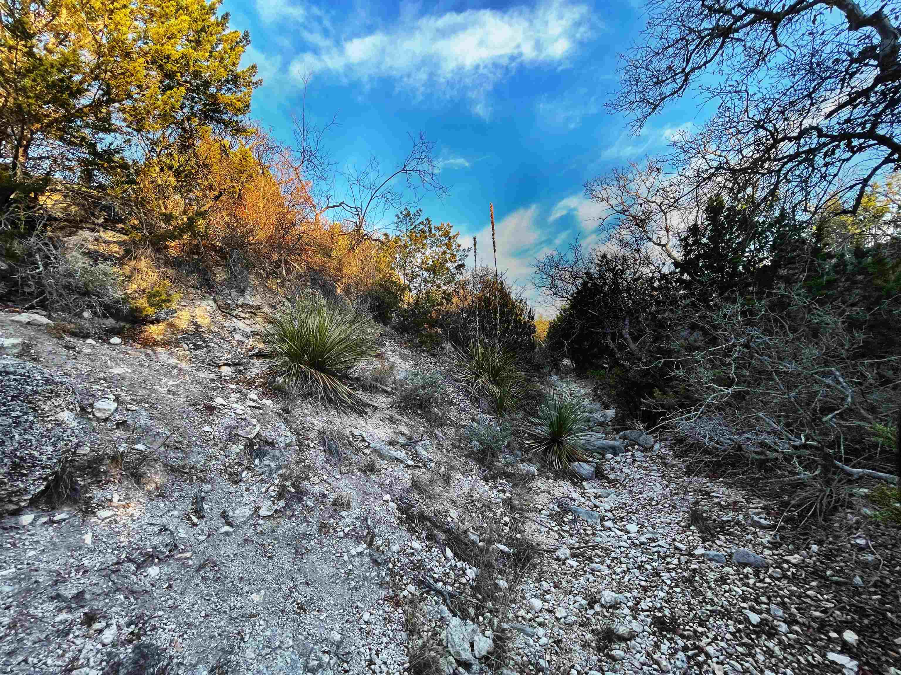 Image 40 of 46 For 000 Oak Bend Ranch