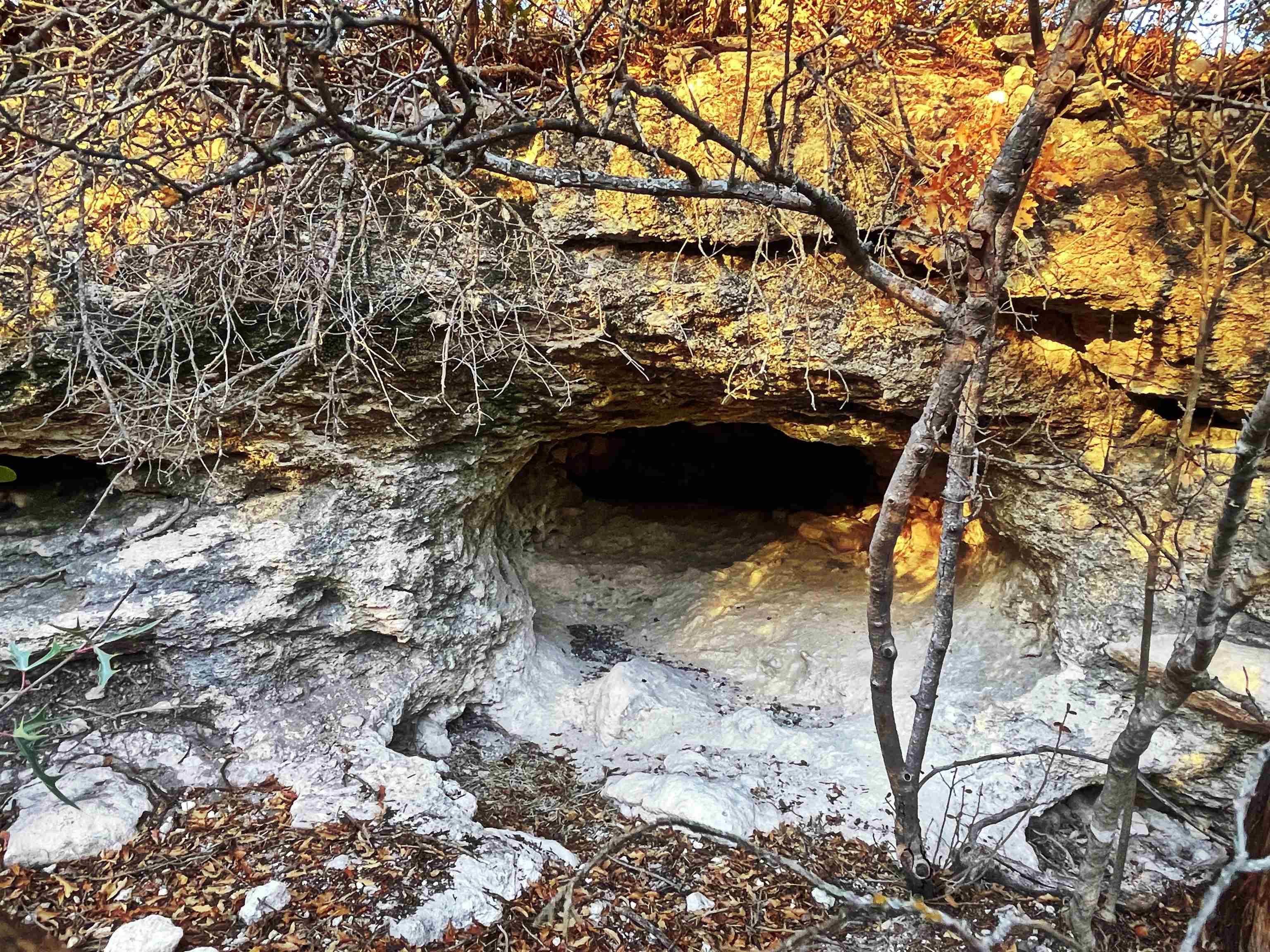 Image 42 of 46 For 000 Oak Bend Ranch