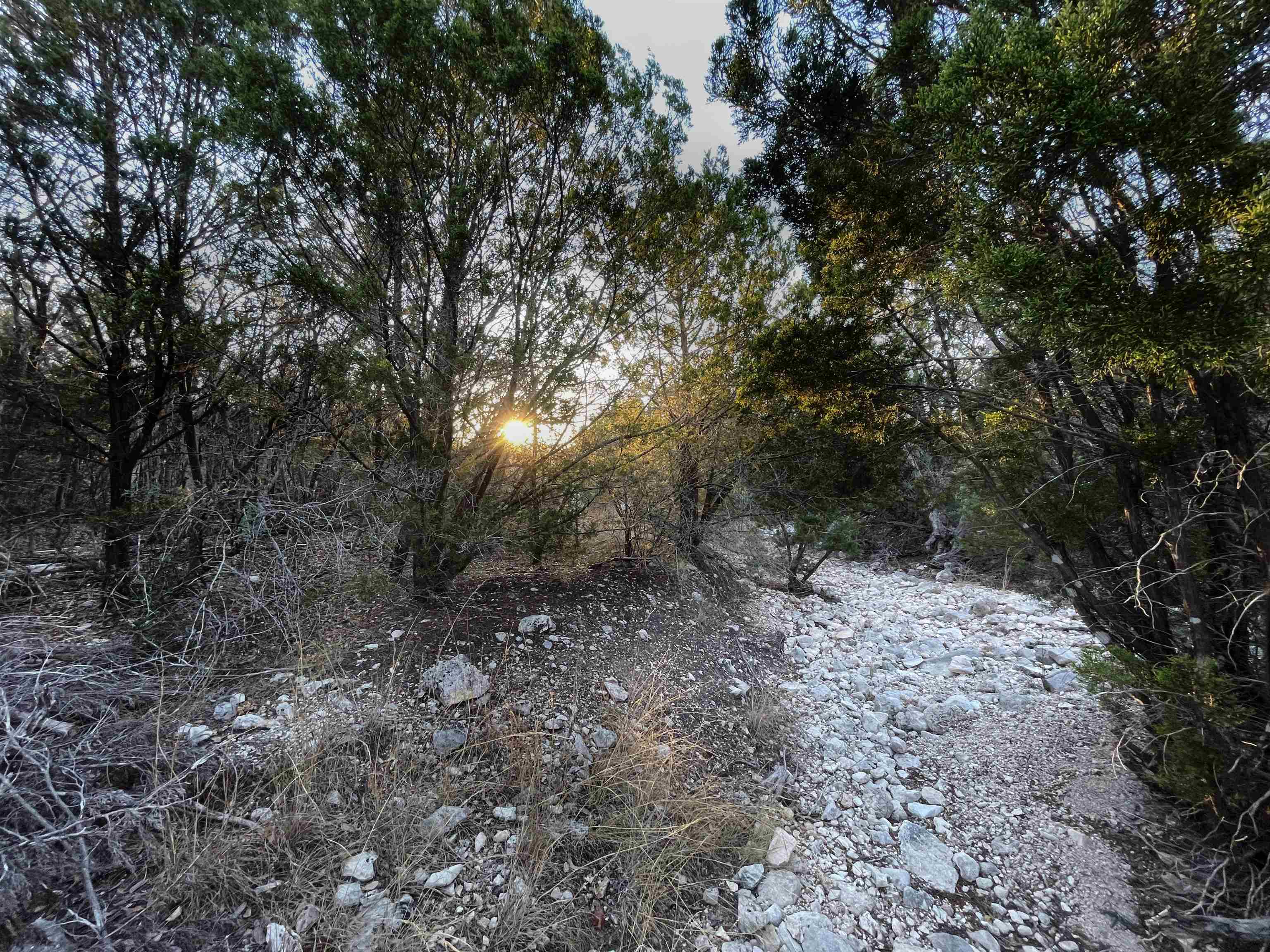 Image 43 of 46 For 000 Oak Bend Ranch