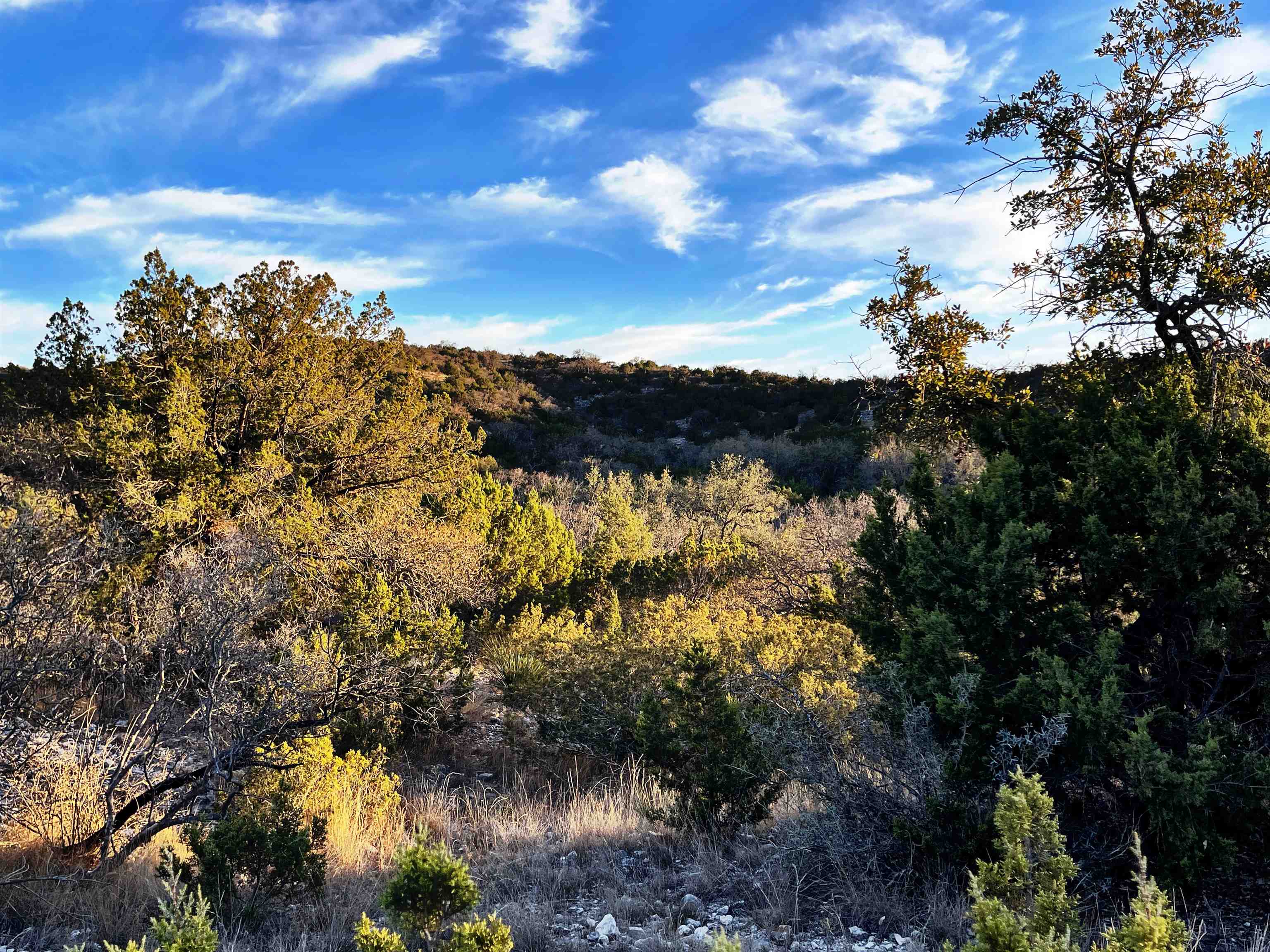 Image 46 of 46 For 000 Oak Bend Ranch