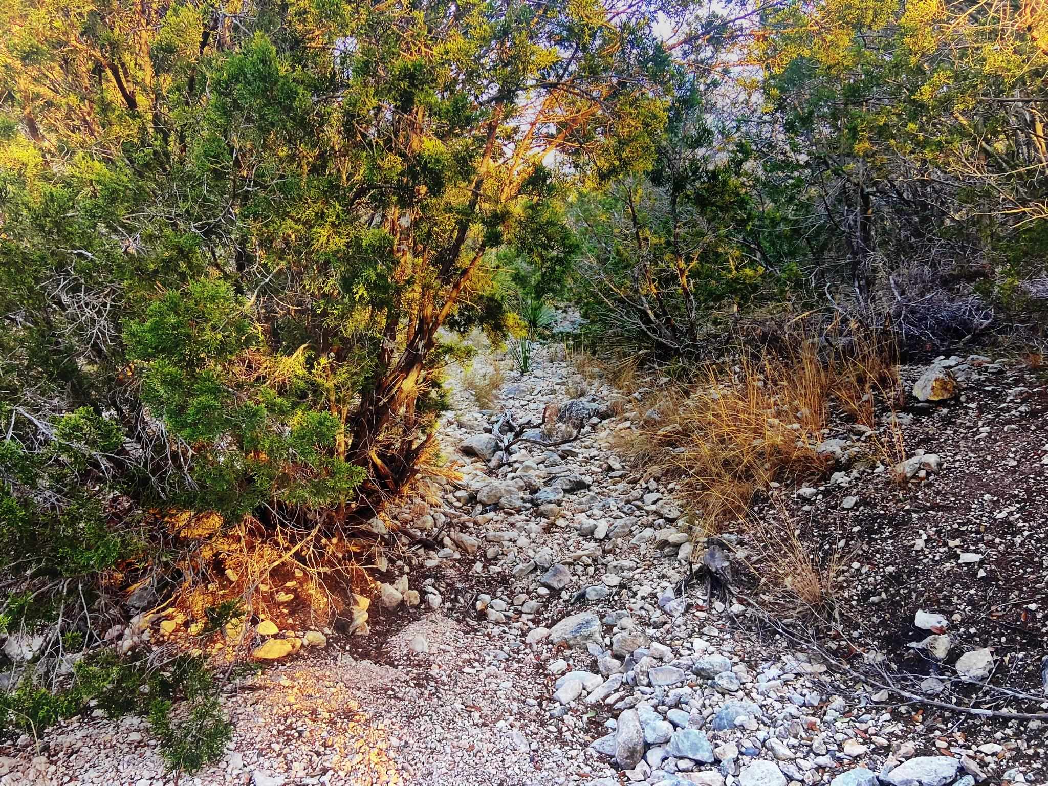 Image 8 of 46 For 000 Oak Bend Ranch