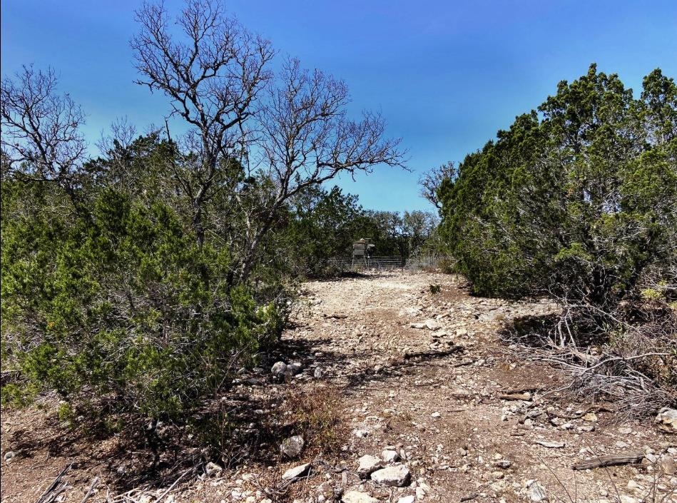 Image 15 of 31 For 10 Sd 63535  