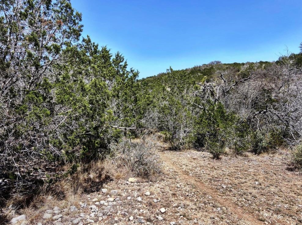 Image 2 of 31 For 10 Sd 63535  