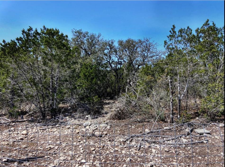 Image 20 of 31 For 10 Sd 63535  