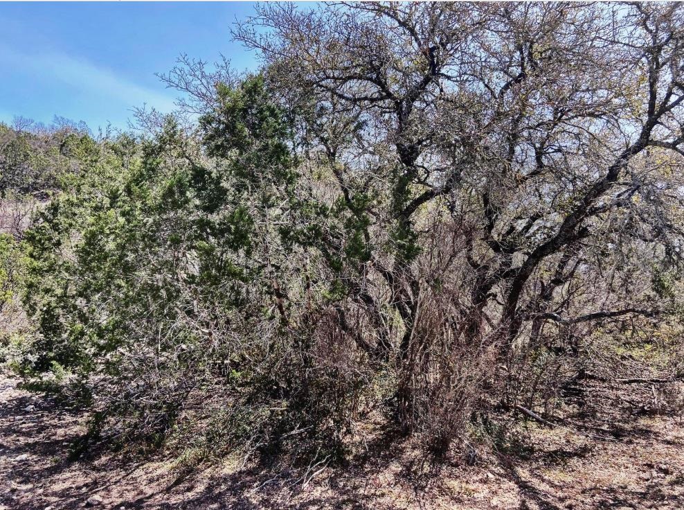 Image 3 of 31 For 10 Sd 63535  