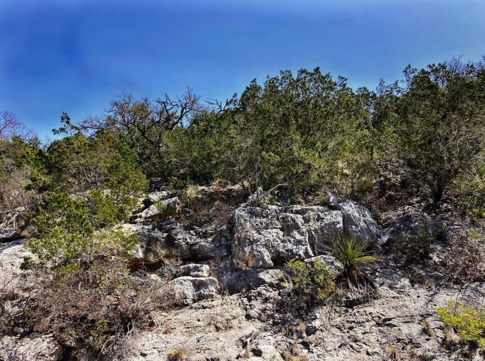 Image 6 of 31 For 10 Sd 63535  