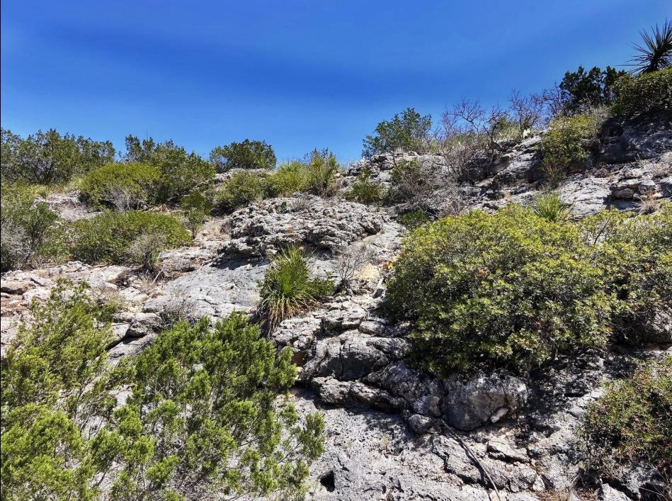 Image 8 of 31 For 10 Sd 63535  