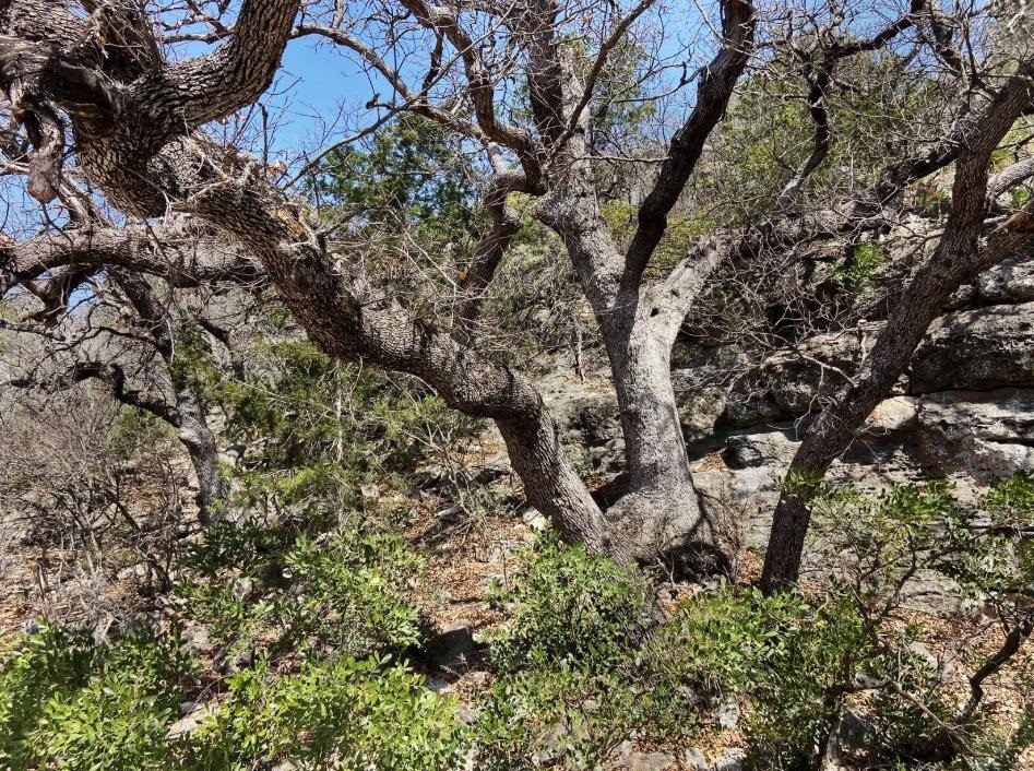 Image 9 of 31 For 10 Sd 63535  